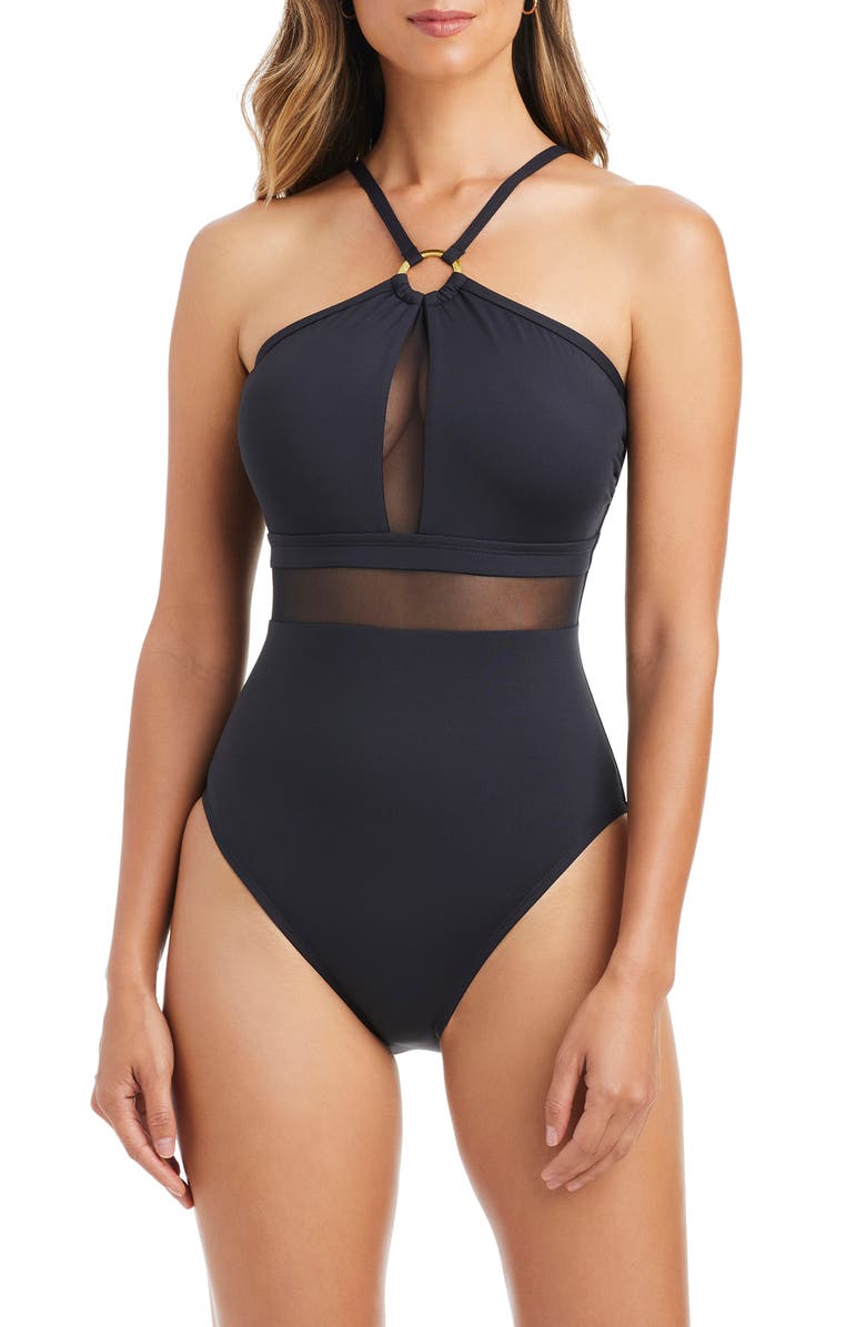 BLEU by Rod Beattie Sheer Mesh Inset One-Piece Swimsuit, Main, color, 