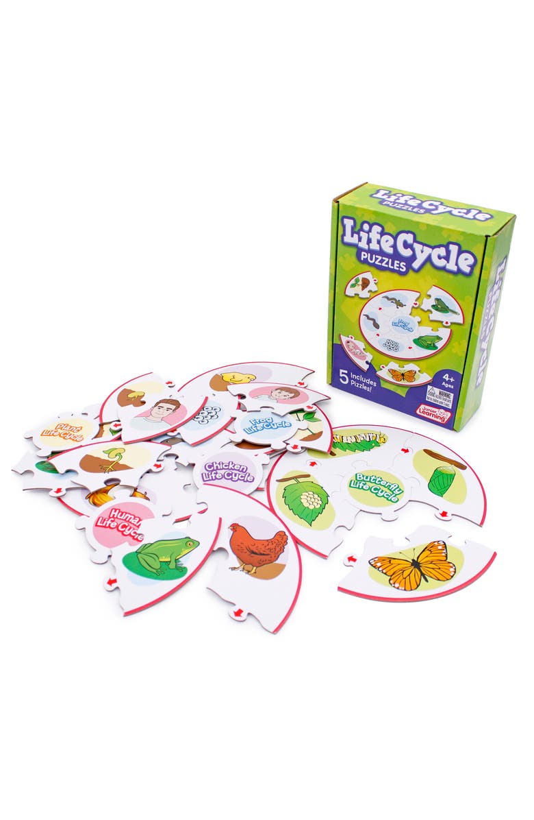 Puzzles Life Cycle Science Learning Puzzles, Alternate, color, Multicolored