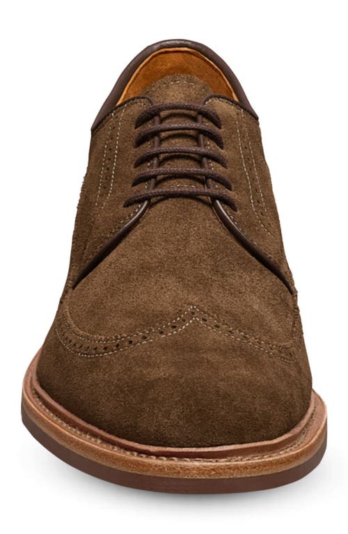 Allen Edmonds Winston Wingtip Brogue Derby In Snuff