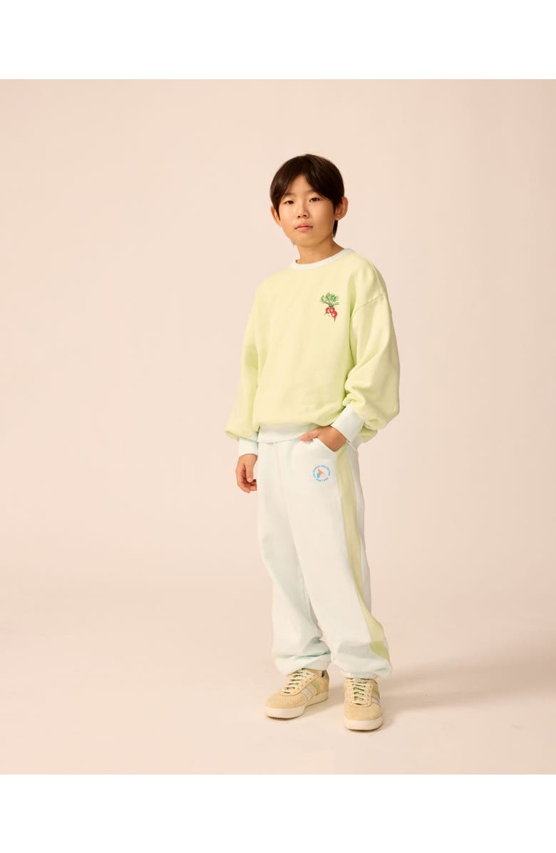 The Sunday Collective Organic Weekend Sweatshirt, Alternate, color, Cucumber Stripe