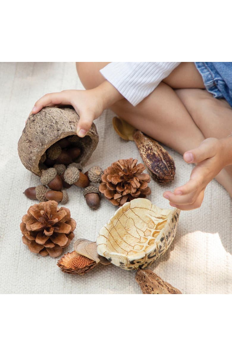 Kaplan Early Learning Company Nature's Geometry Loose Parts STEM Kit, Alternate, color, Multicolored