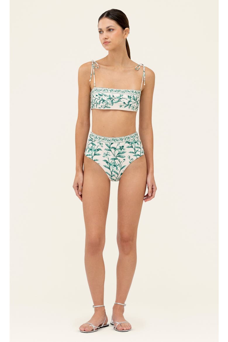 Magenta Ceiba Bikini bottom, Alternate, color, Multi