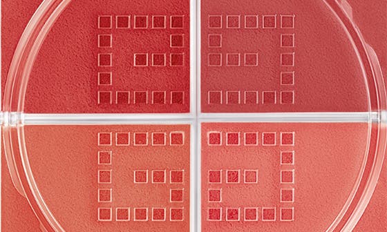 N06 FLANELLE RUBIS