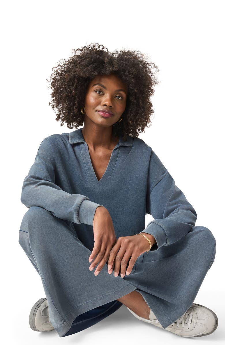 Splendid Indigo Polo Sweatshirt, Alternate, color,