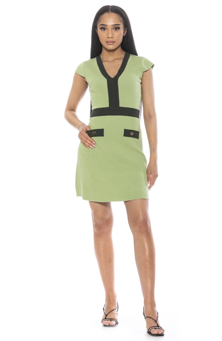 Alexia Admor Rhea Contrast Detail Knit Dress, Alternate, color, Mint