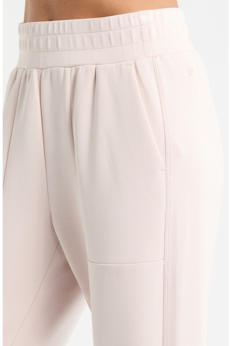 Soft Luxe High Waist Joggers, Alternate, color, PINK HUSH