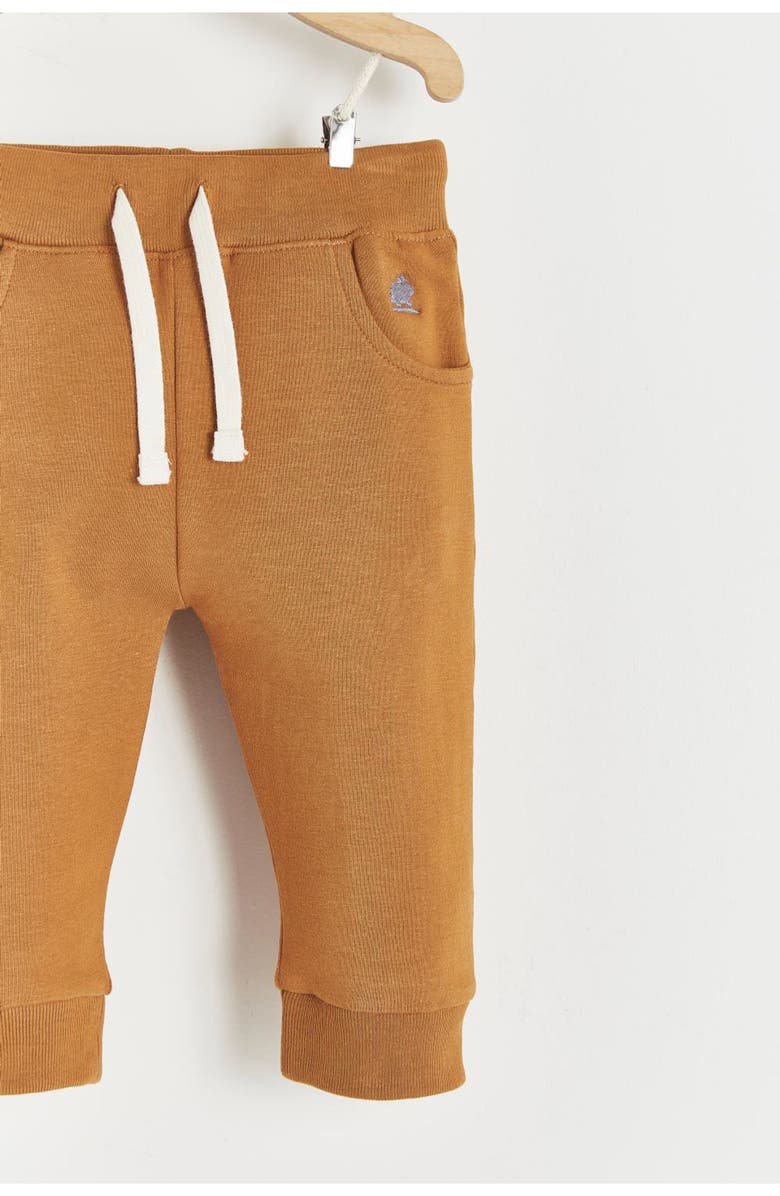 Babycottons Premium Cotton Merlin Printed Jogger For Infant, Alternate, color, Camel