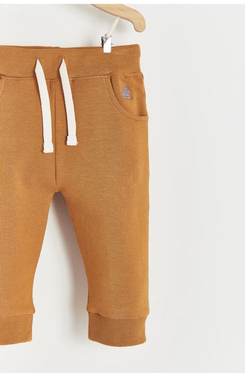 Babycottons Merlin Printed Jogger In Camel