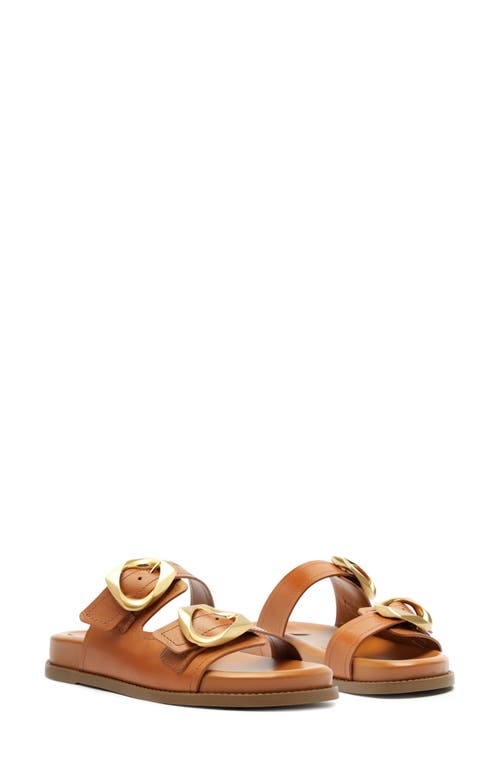 Shop Schutz Olga Buckle Sporty Slide Sandal In Cuoio Brown
