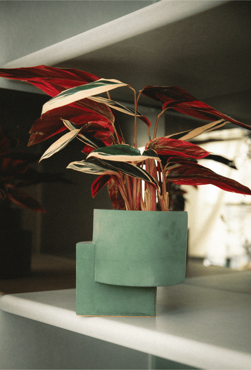 Tortuga Forma Platform Planter Concrete In Green