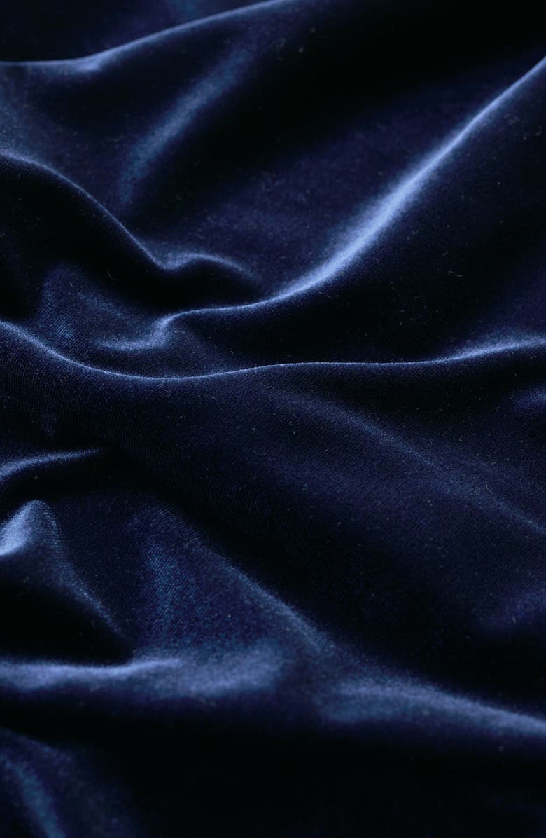 Seasalt Cornwall Elm Tree Velvet Button-Up Shirt, Alternate, color, 