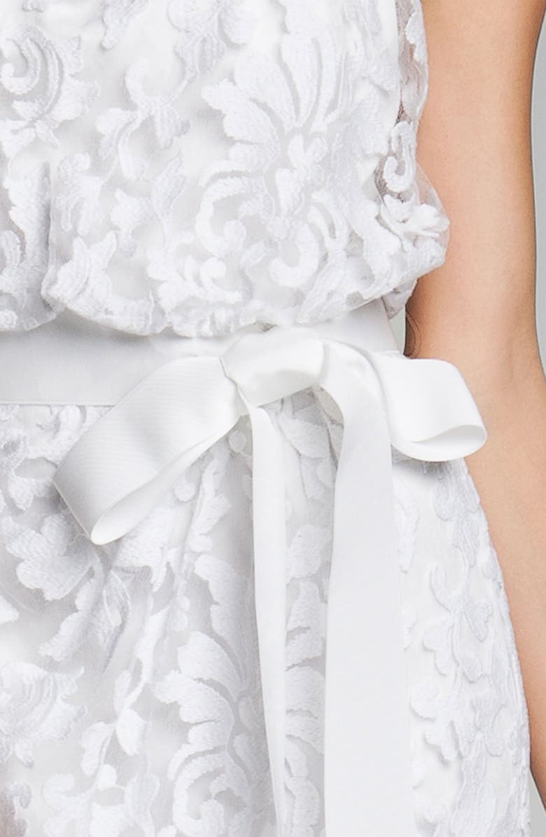 Tadashi Shoji Embroidered Lace Blouson Gown, Alternate, color,