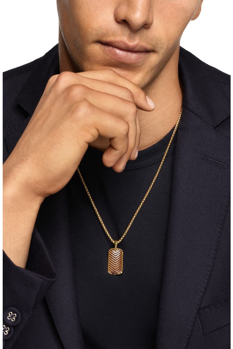 Men's Chevron Tag in 18K Yellow Gold with Tiger's Eye, 27mm, Alternate, color, GOLD