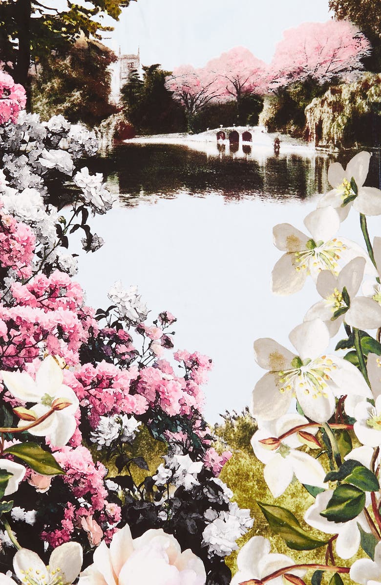 Ted Baker London Windermere Long Silk Scarf, Alternate, color, 