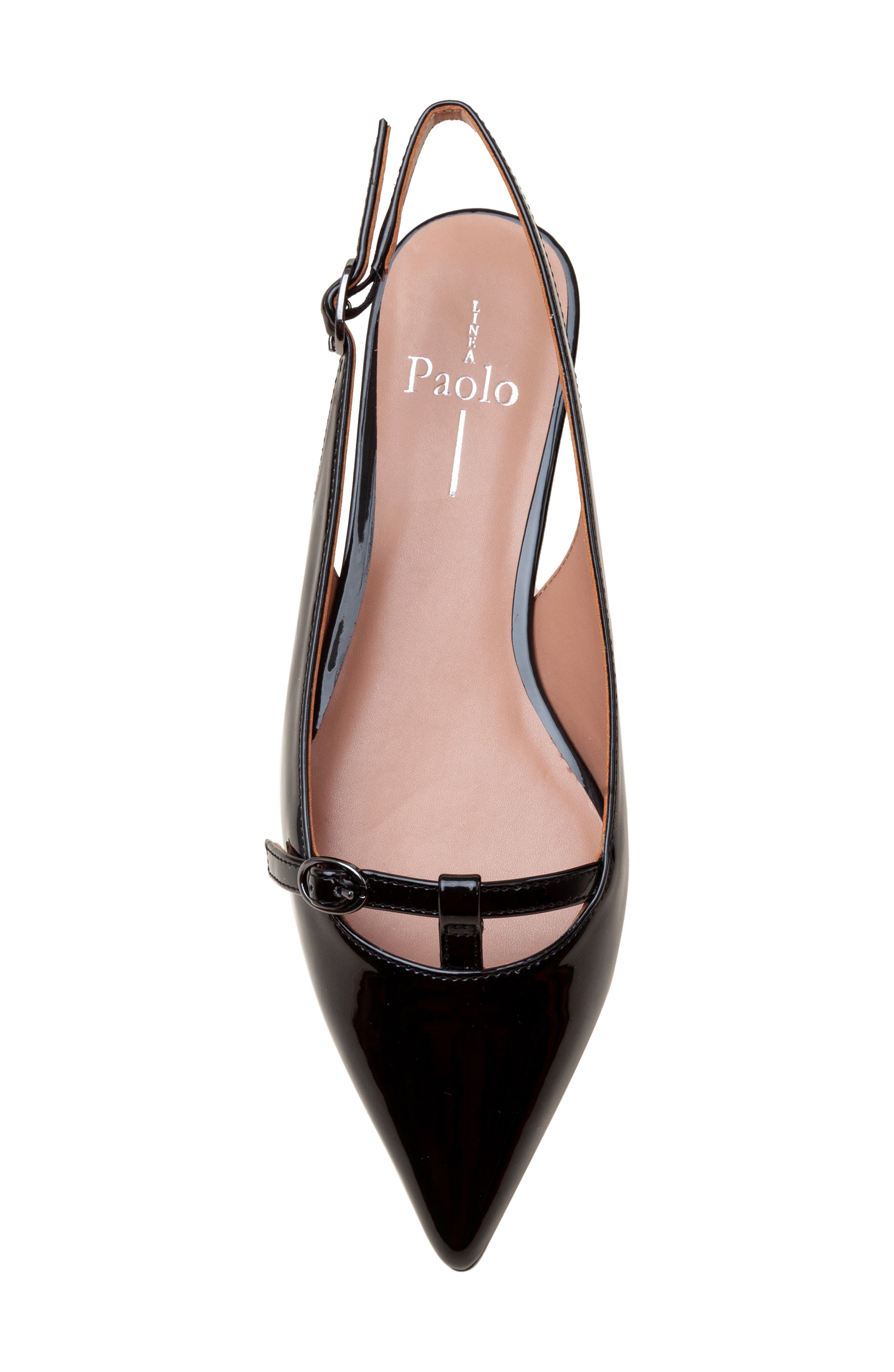 Linea Paolo Celina Pointed Toe Slingback Flat, Alternate, color, Black
