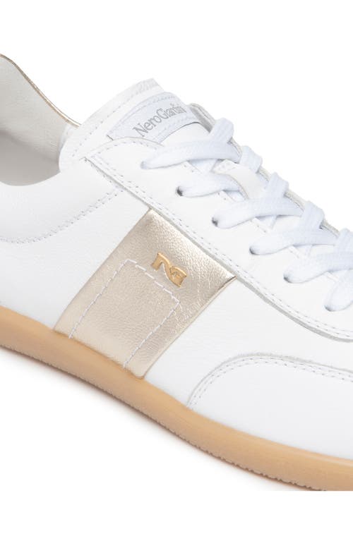 Nerogiardini Low Top Sneaker In Multi