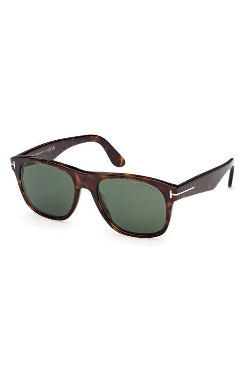 Tom Ford Marlon Tortoiseshell Square Sunglasses In Multi