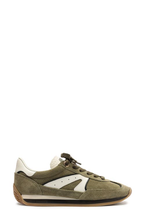Arezzo Molly Sneaker In Multi