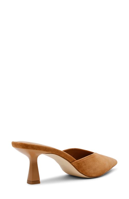 Steve Madden Mod Pointed Toe Mule Pump In Chestnut Suede