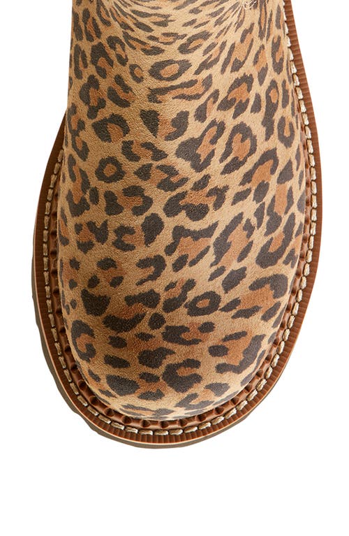 Ariat Fatbaby Western Chelsea Boot In Brown
