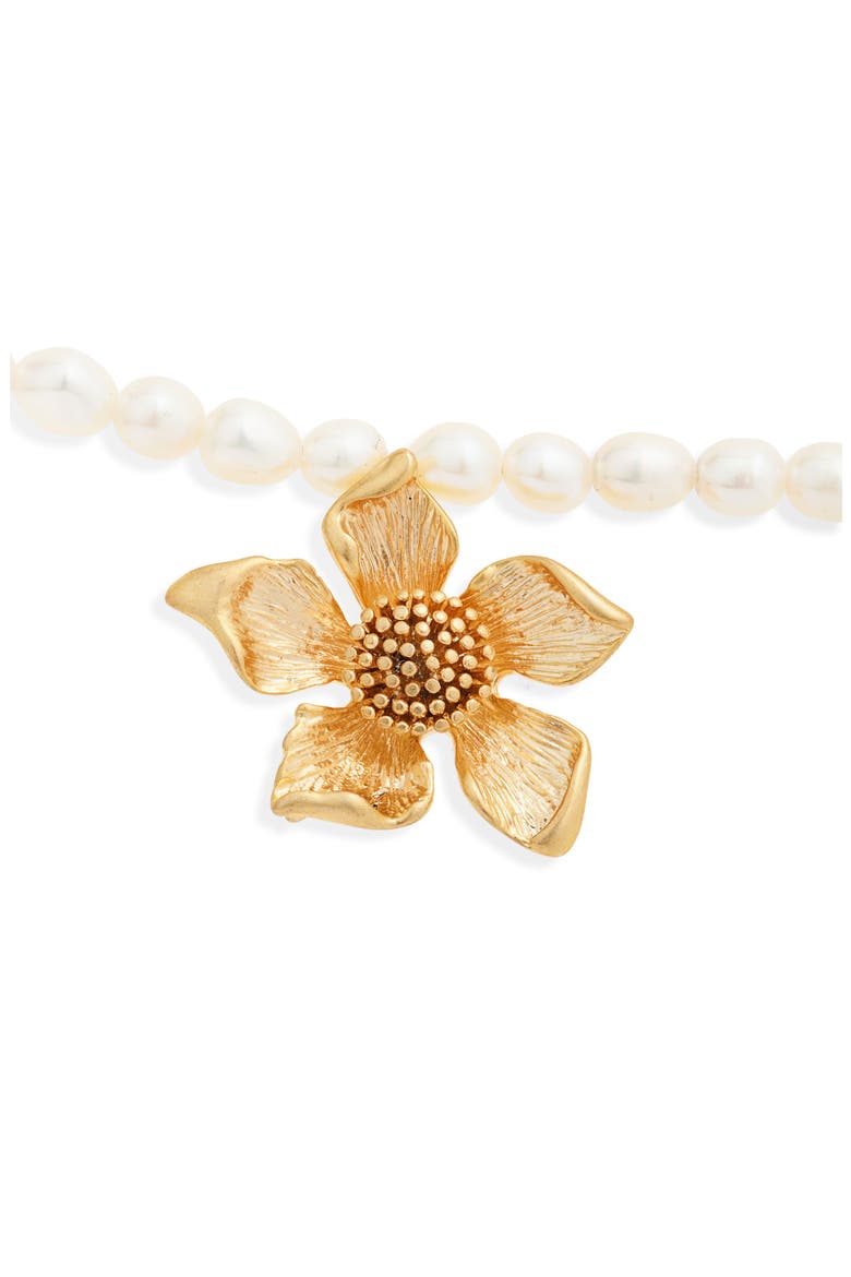 Golden Flower Freshwater Pearl Belly Chain, Alternate, color, GOLD