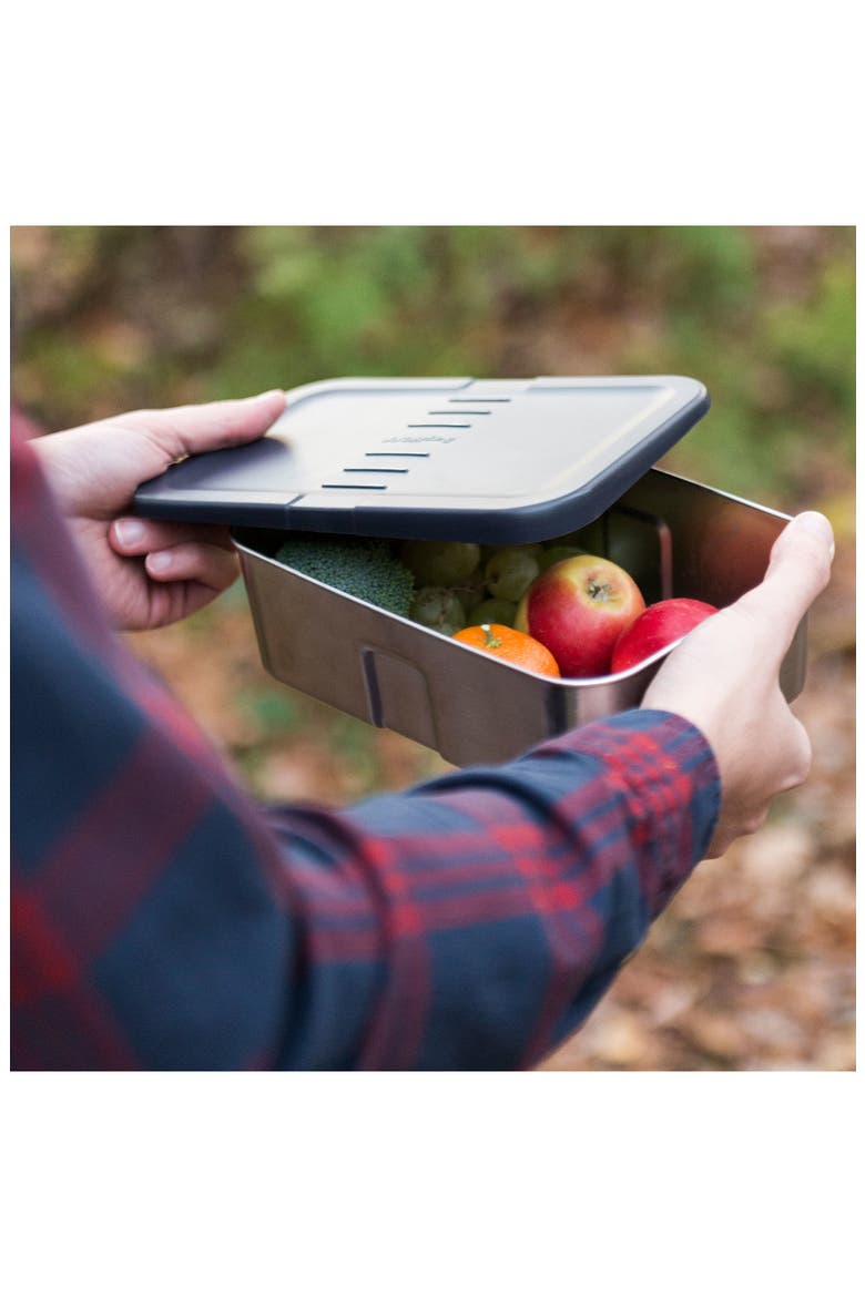 Essentials 6-Piece Lunch Box Set, Alternate, color, SILVER