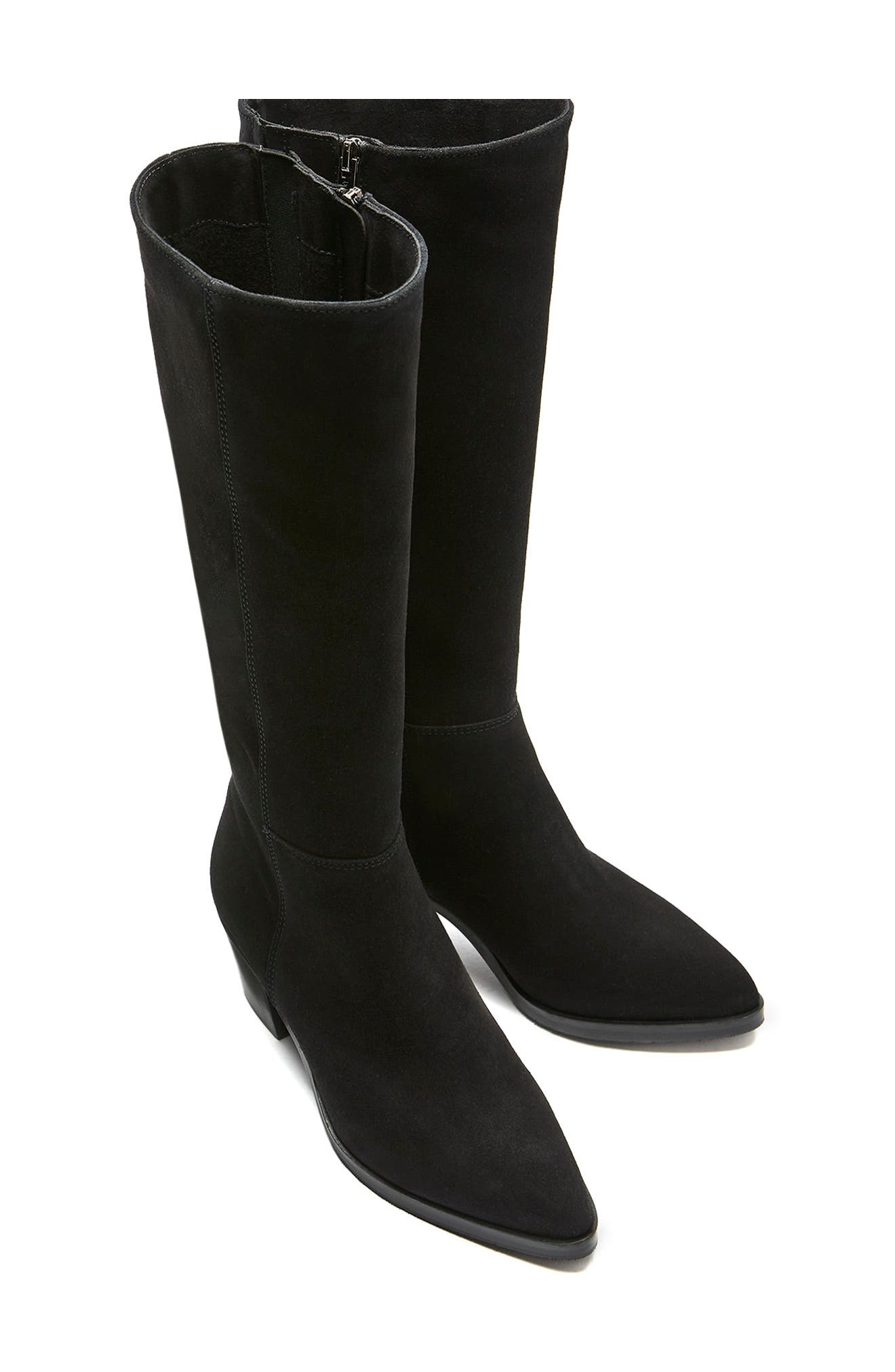 La Canadienne Peppermint Waterproof Pointed Toe Boot, Alternate, color, 