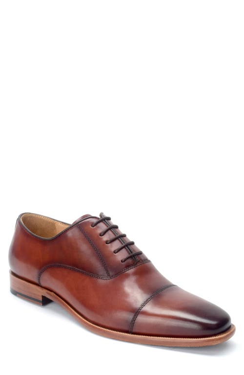 Warfield & Grand Birch Oxford in Chestnut  product