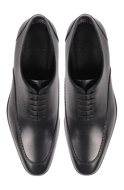 Vellapais Frisco Braided Oxford In Black