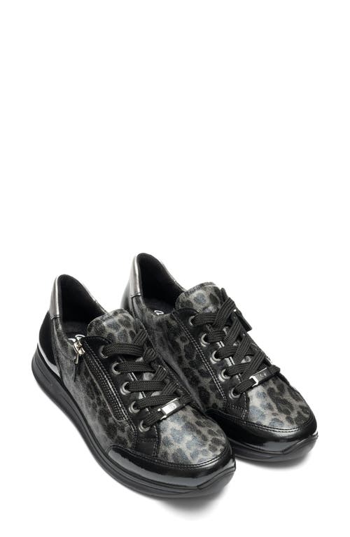 Ara Oleanna Zip Sneaker In Multi