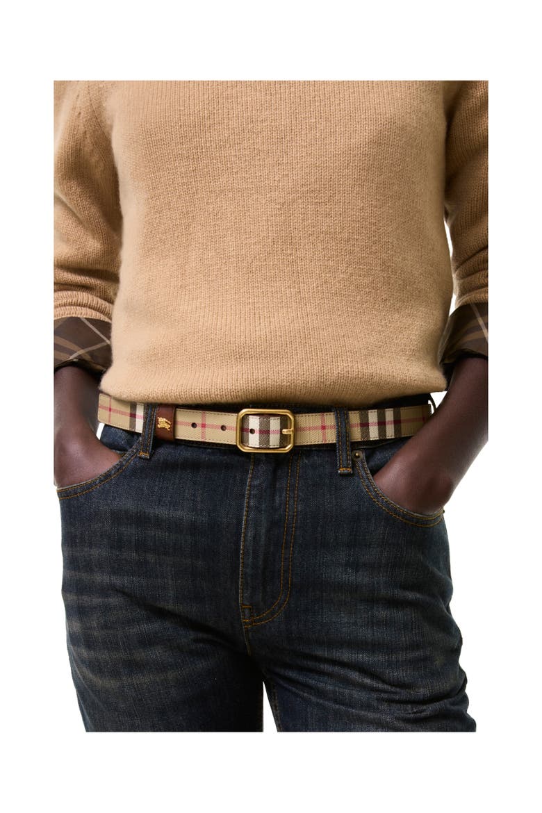 Check Knight Belt, Alternate, color, Archive beige