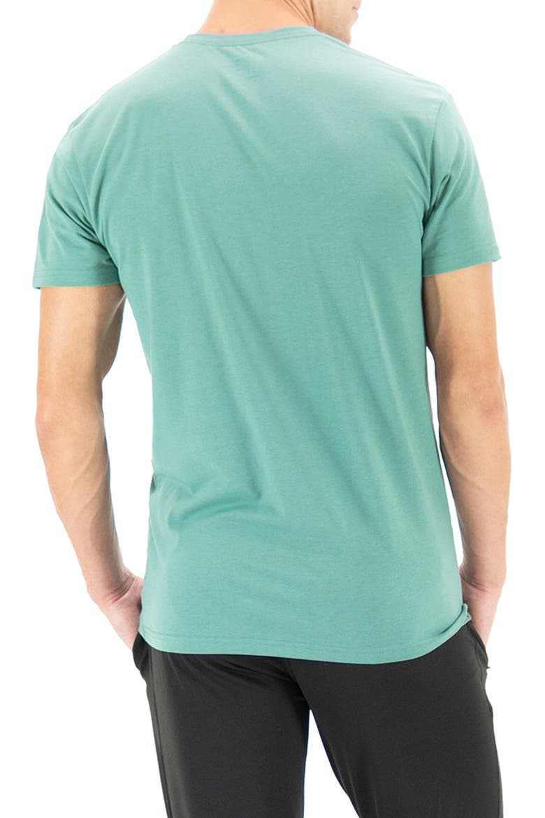 Roberts Short Sleeve Sleep Tee, Alternate, color, INDIGO