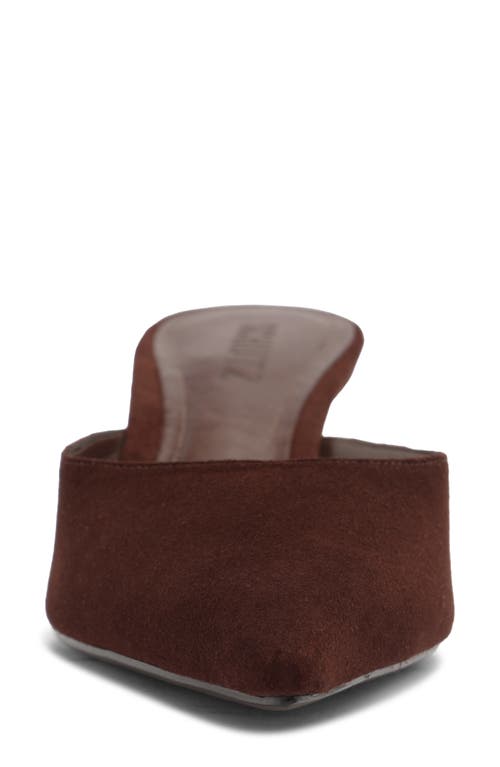 Schutz Julie Pointed Toe Mule In Brown