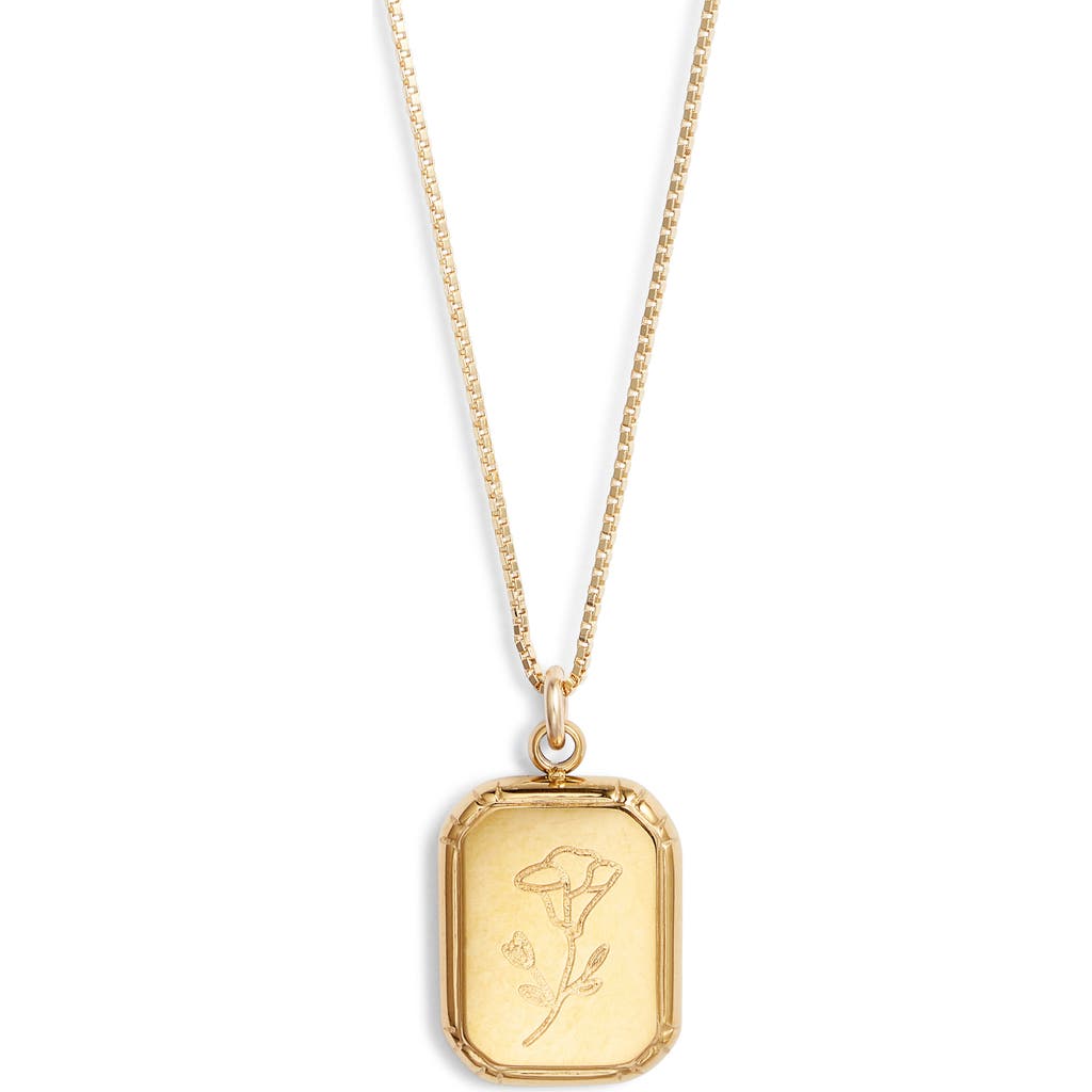 Set & Stones Audrey Birth Flower Pendant Necklace In Gold