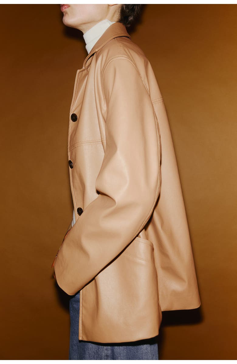 H&M Coated Jacket, Alternate, color, Dark Beige