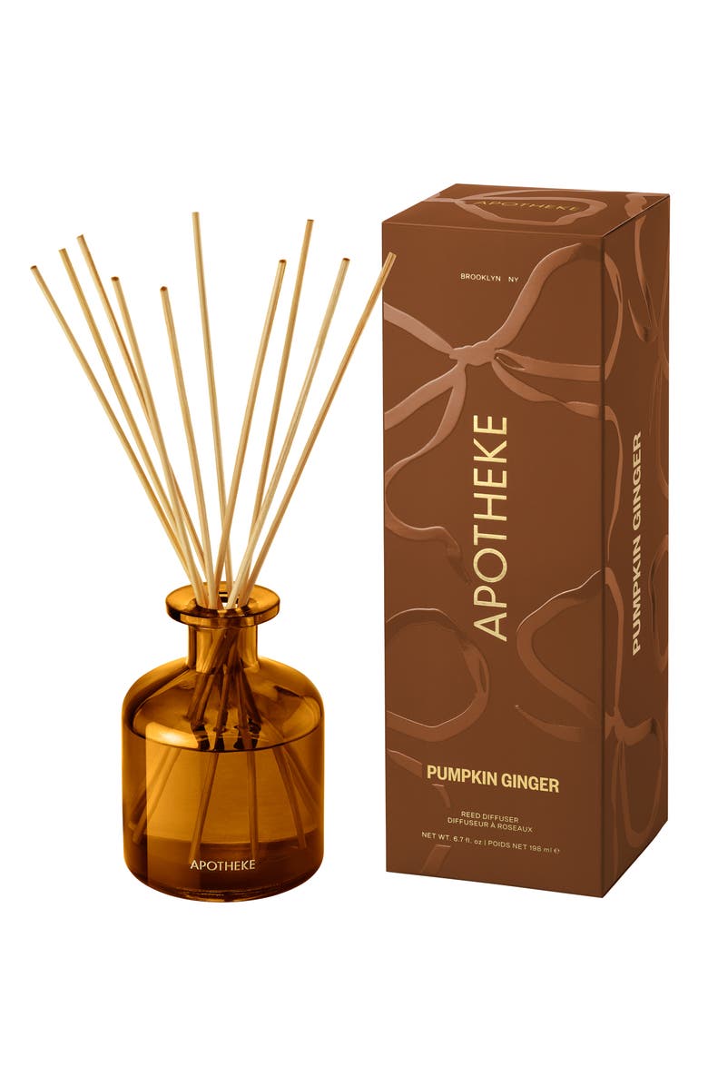 APOTHEKE Pumpkin Ginger Reed Diffuser, Main, color, Rust/ Copper