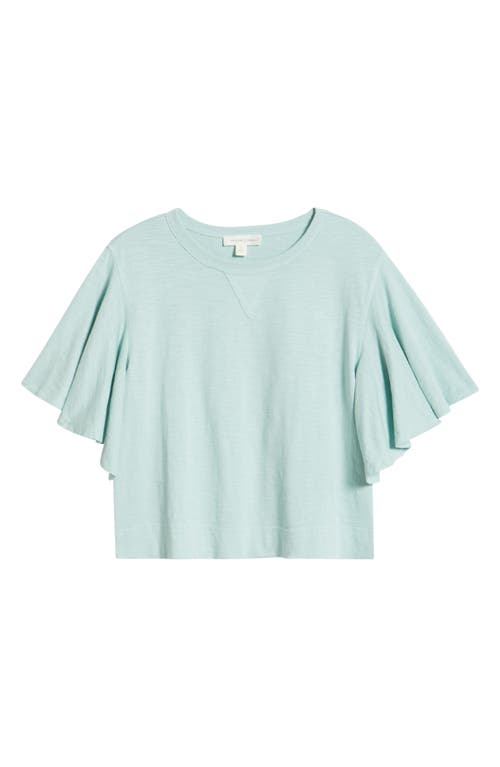 TREASURE & BOND TREASURE & BOND FLUTTER SLEEVE COTTON T-SHIRT 