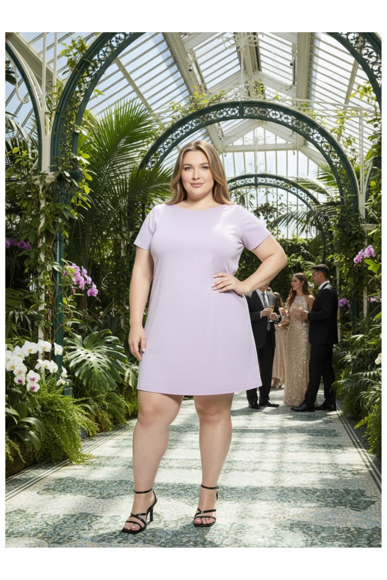 Plus Size Solid Short Sleeve Round Neck Mini Shift Dress, Alternate, color, Lilac