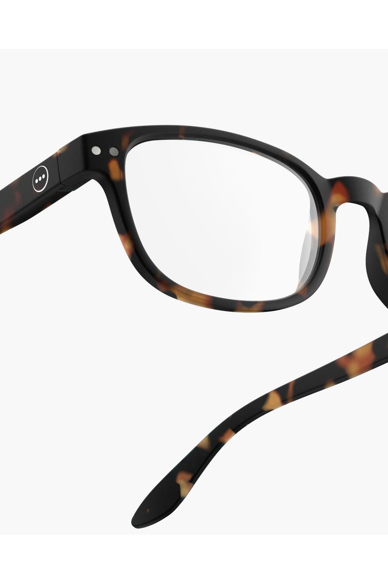 #B Tortoise, Alternate, color, Tortoise