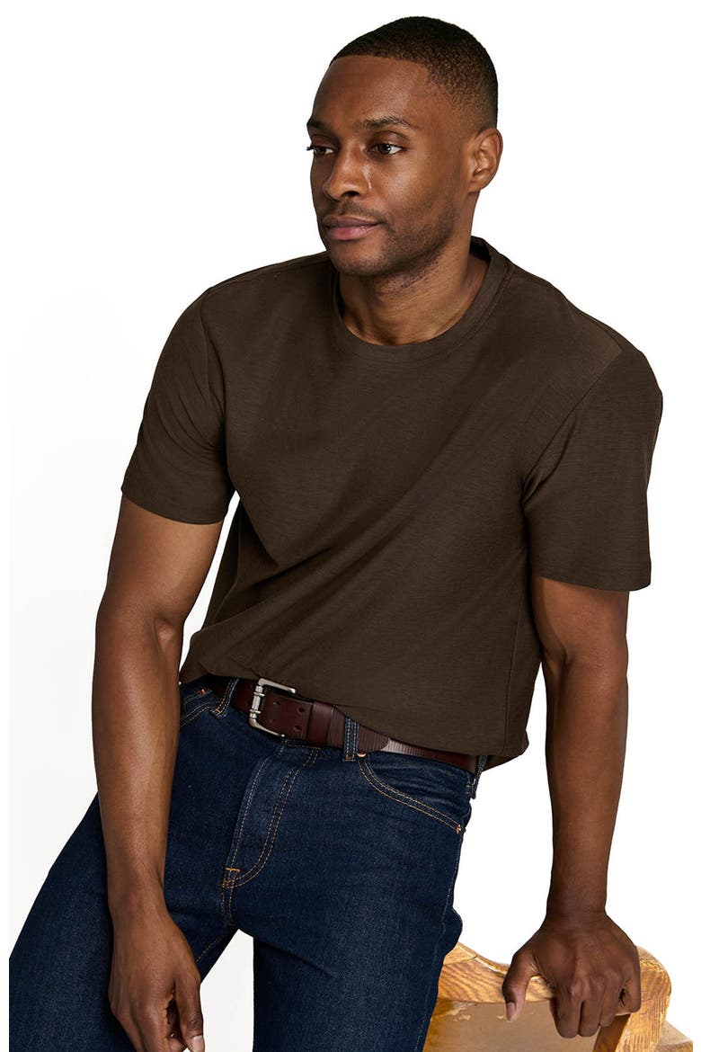 Solid Mapleton Luxe Cross Dyed T-Shirt, Alternate, color, BROWN