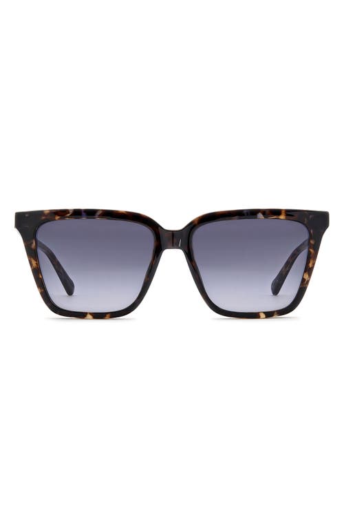 Fossil 56mm Square Sunglasses In Blue