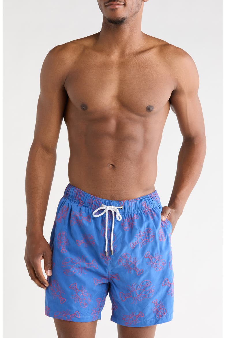 Endless Summer Embroidered Swim Shorts, Main, color, BLUE