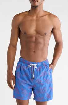 Vintage Summer Endless Summer Embroidered Swim Shorts