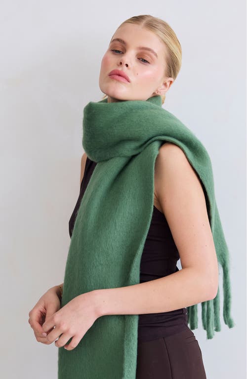 Arctic Fox & Co. Arctic Fox & Co The Stockholm Fringe Scarf In Green