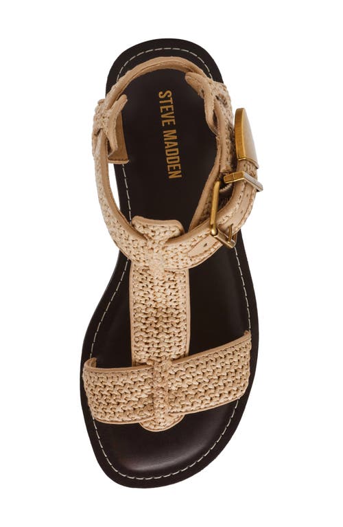 Shop Steve Madden Brazinn Gladiator Sandal