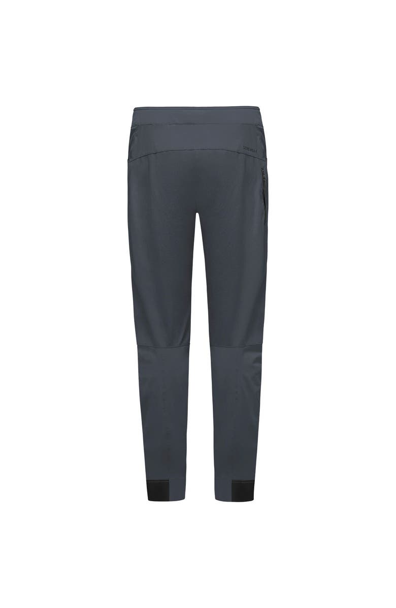 GOREWEAR Passion Pant - Men's, Alternate, color, Lab Graphite