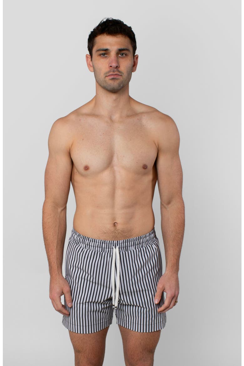 Espresso Swim Trunk, Alternate, color, Espresso