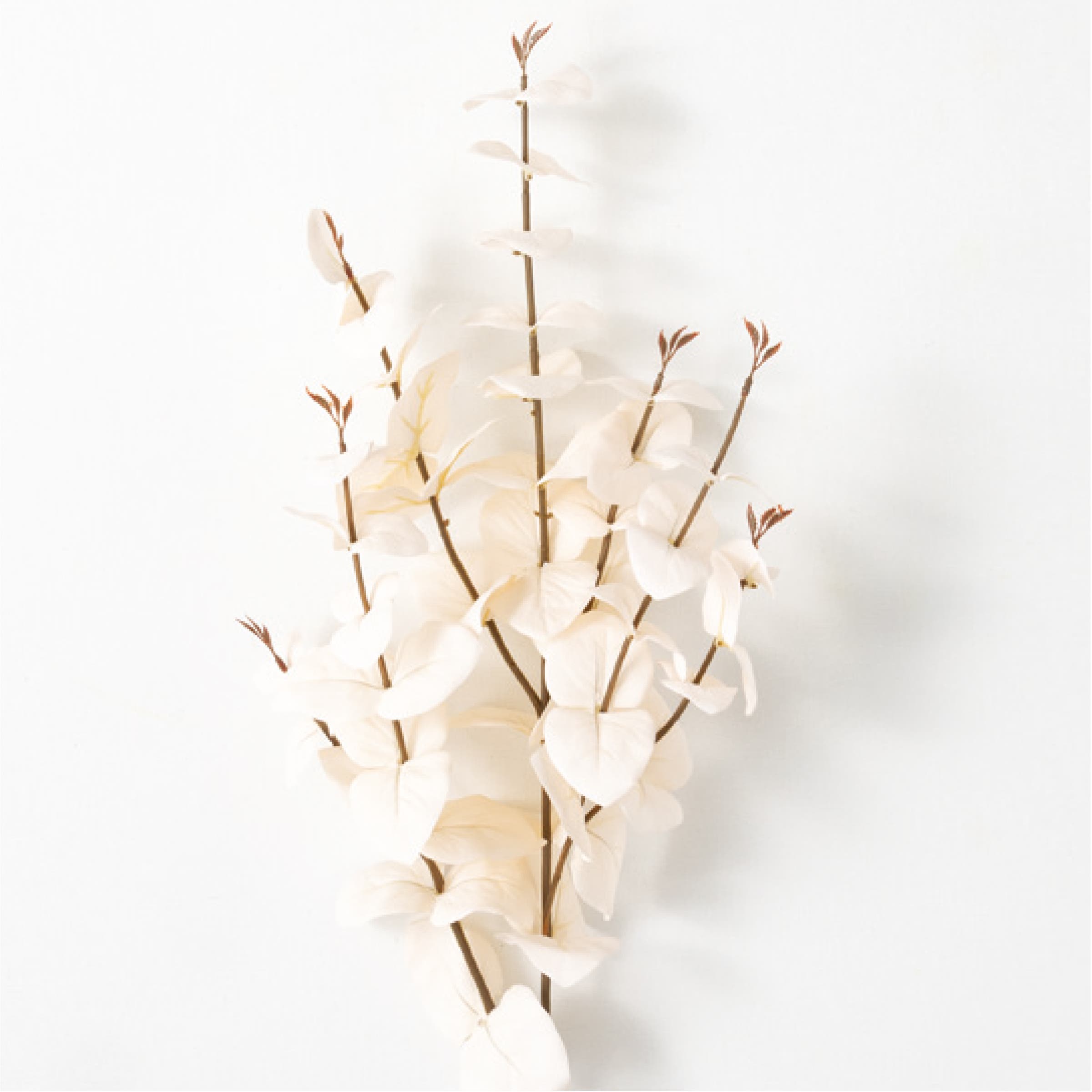 selected Beige