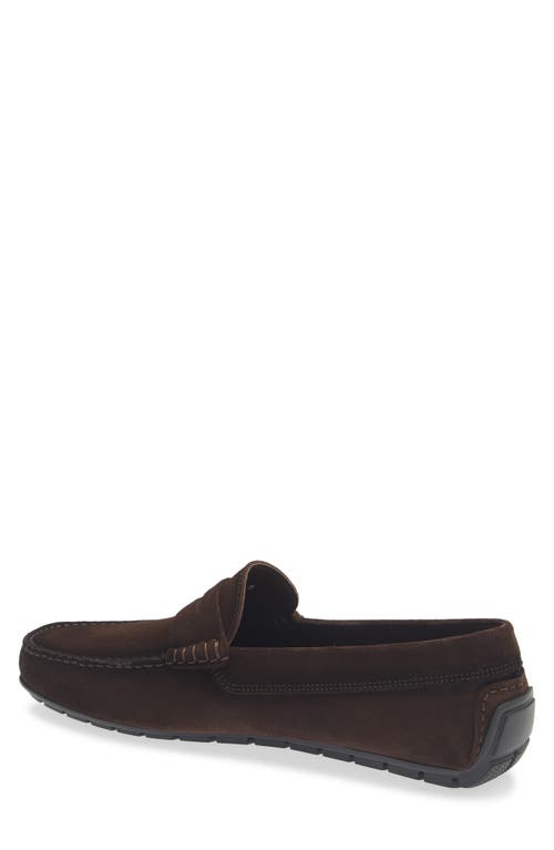 To Boot New York Adelaide Penny Driving Loafer In Brown