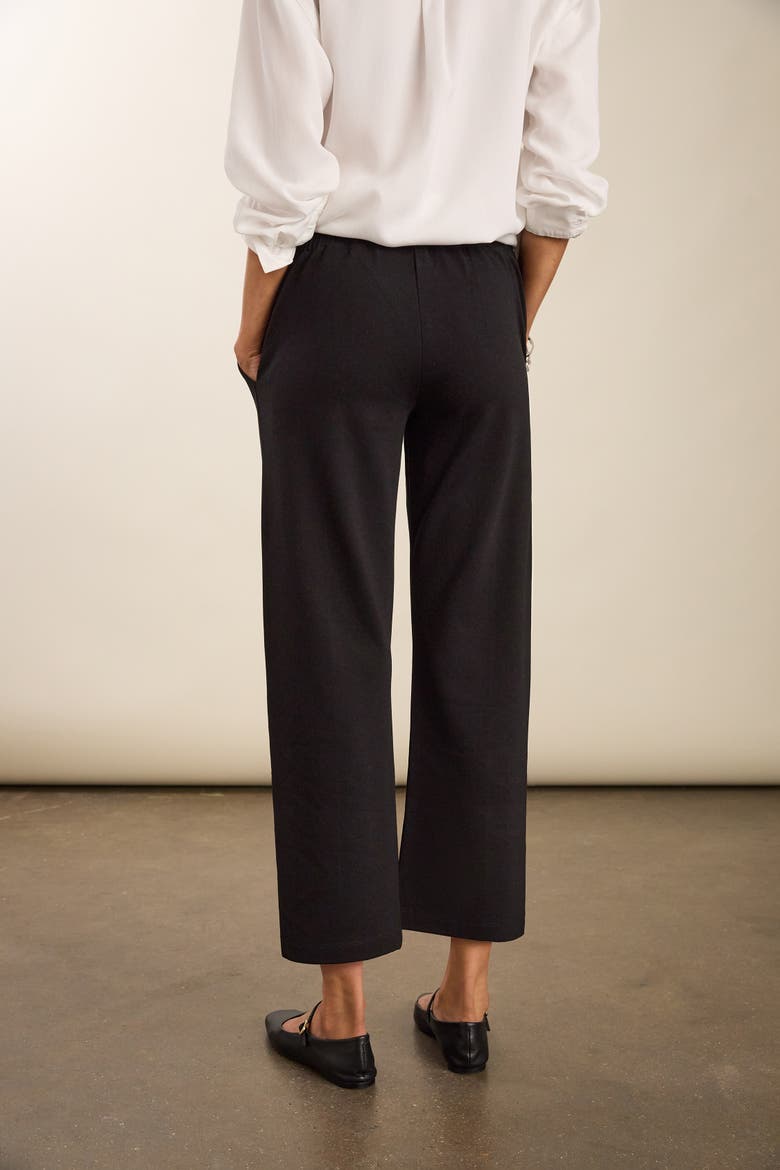 Ebru Ponte Straight Leg Crop Trousers, Alternate, color, Caviar Black